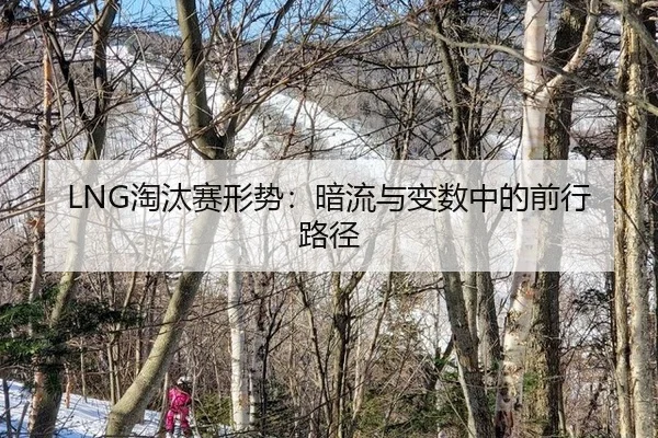 LNG淘汰赛形势：暗流与变数中的前行路径