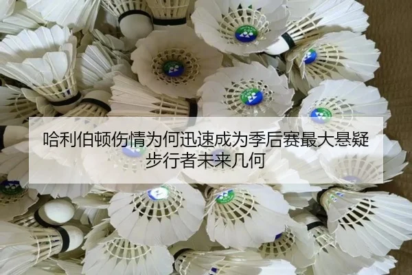 ha-li-bo-dun-shang-qing-wei-he-xun-su-cheng-wei-ji-hou-sai-zui-da-xuan-yi-bu-xing-zhe-wei-lai-ji-he-2-804.jpg